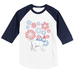 Cat Happy Independence Day Fireworks Memorial Day Gift Baseball Sleeve Shirt