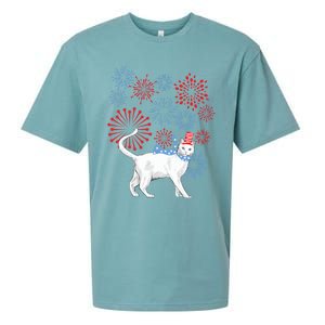 Cat Happy Independence Day Fireworks Memorial Day Gift Sueded Cloud Jersey T-Shirt