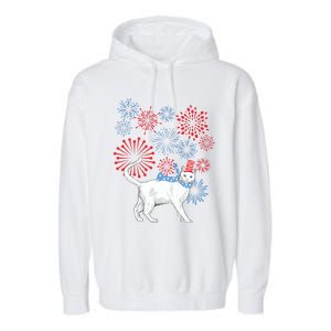 Cat Happy Independence Day Fireworks Memorial Day Gift Garment-Dyed Fleece Hoodie