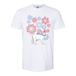 Cat Happy Independence Day Fireworks Memorial Day Gift Softstyle CVC T-Shirt