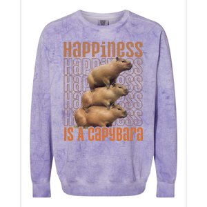 Capybara Happiness Is A Capybara Colorblast Crewneck Sweatshirt