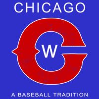 Chicago A Baseball Tradition 16 in Basic Backpack