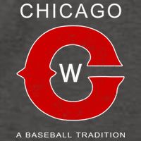 Chicago A Baseball Tradition Vector Backpack