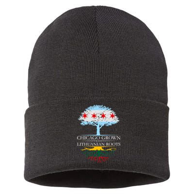 Chicago Grown With Lithuanian Roots Sustainable Knit Beanie