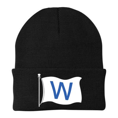 Chicago Win W Flag Baseball Beanie