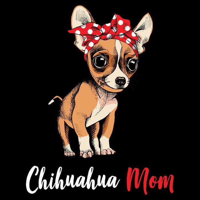 Chihuahua Mom Youth Performance Sprint T-Shirt