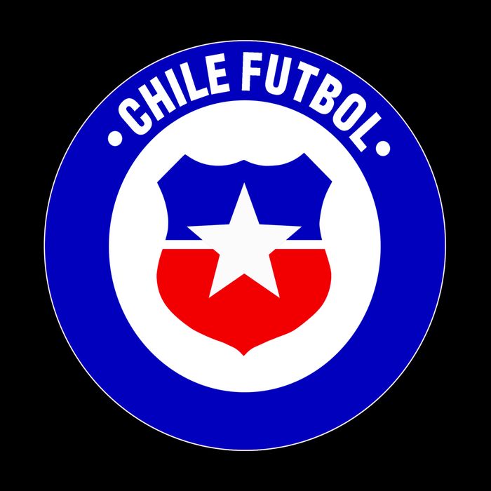Chile Futbol Soccer Retro National Team City Backpack