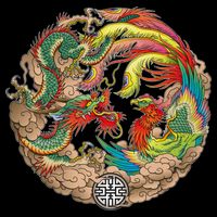Chinese Dragon and Phoenix Yin Yang Youth Performance Sprint T-Shirt
