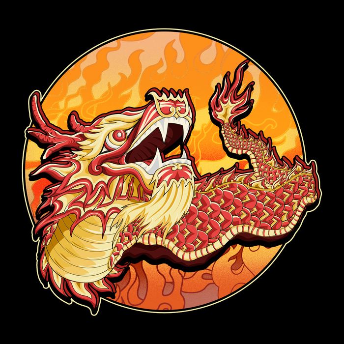 Chinese Dragon Fire Dance Women's Crop Top Tee