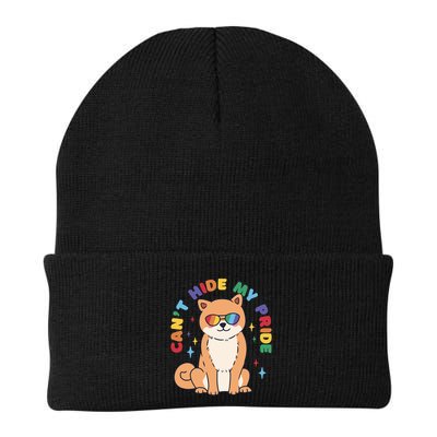 Can't Hide My Pride LGBTQ Dog Beanie