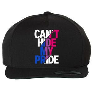 Cant Hide My Pride Bisexual Flag LGBTQ Bisexuality Bi LGBT Wool Snapback Cap