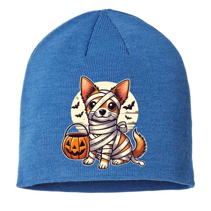 Chihuahua Halloween Mummy Cute Chihuahua Funny Gift Sustainable Beanie