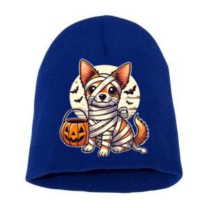 Chihuahua Halloween Mummy Cute Chihuahua Funny Gift Short Acrylic Beanie