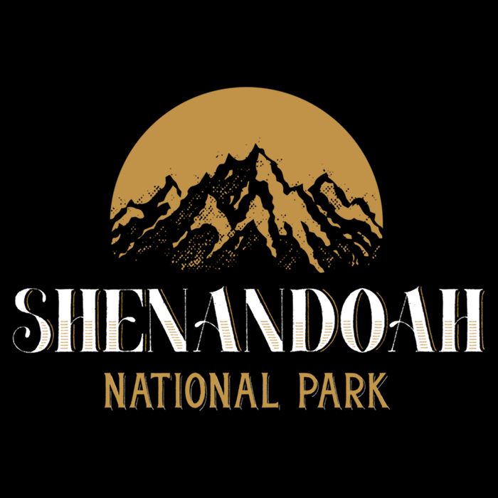 Camping Hiking Outdoor Gift Shenandoah National Park Gift Youth Performance Sprint T-Shirt