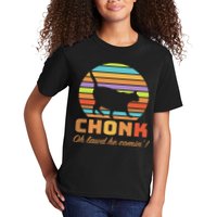 Chonk Scale Cat Meme Kids T-Shirt