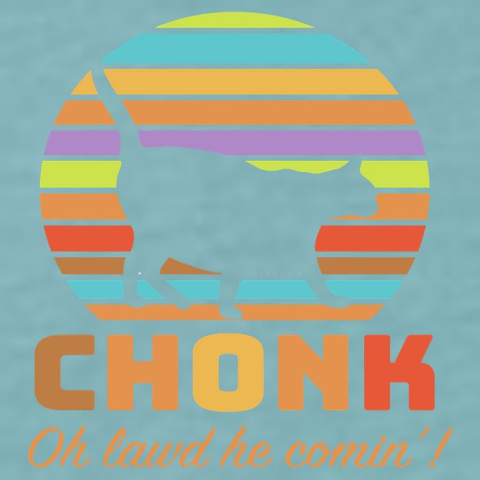 Chonk Scale Cat Meme Sueded Cloud Jersey T-Shirt