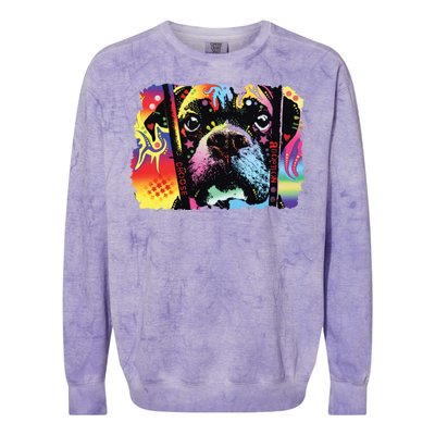 Choose Adoption Boxer Dog Dean Russo Colorblast Crewneck Sweatshirt