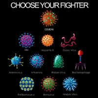 Choose Your Fighter Virus Flu Pandemic Flatbill Hat