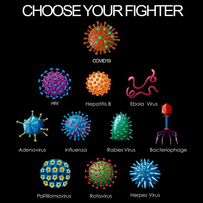 Choose Your Fighter Virus Flu Pandemic Flatbill Hat