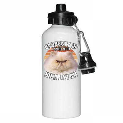 Cat Himalayan Property Vintage Eighties Style Cat Retro Gift Cute Dog Aluminum Water Bottle