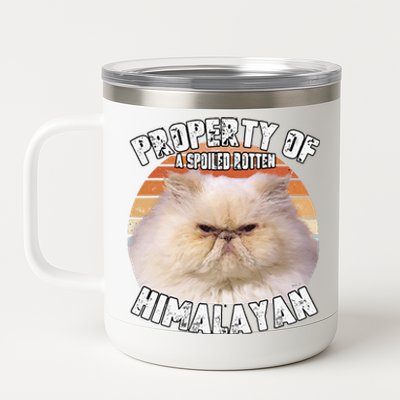 Cat Himalayan Property Vintage Eighties Style Cat Retro Gift Cute Dog 12 oz Stainless Steel Tumbler Cup