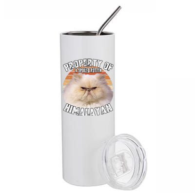 Cat Himalayan Property Vintage Eighties Style Cat Retro Gift Cute Dog Stainless Steel Tumbler