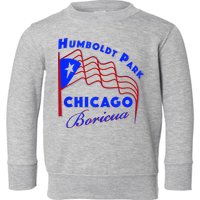 Chicago Humboldt Park Neighborhood Design Puerto Rican Toddler Sweatshirt