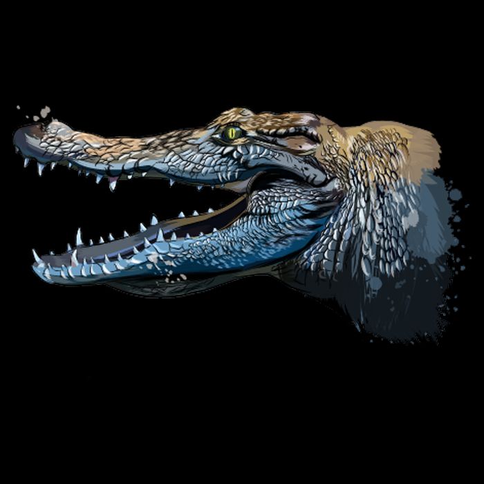 Crocodile Head Portrait From A Splash Flat Bill Trucker Hat