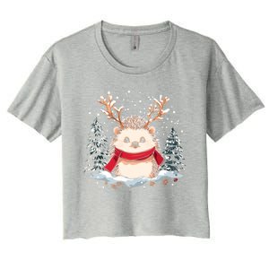 Cute Hedgehog Reindeer Christmas Xmas Gift Women's Crop Top Tee