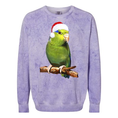 Christmas Bird Parrot Colorblast Crewneck Sweatshirt