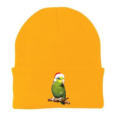 Christmas Bird Parrot Knit Cap Winter Beanie