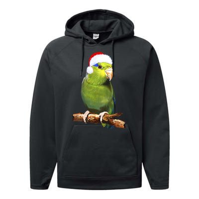 Christmas Bird Parrot Performance Fleece Hoodie