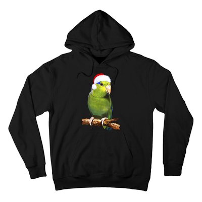 Christmas Bird Parrot Hoodie