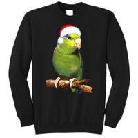 Christmas Bird Parrot Sweatshirt