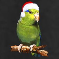 Christmas Bird Parrot Adult Drive Performance Visor