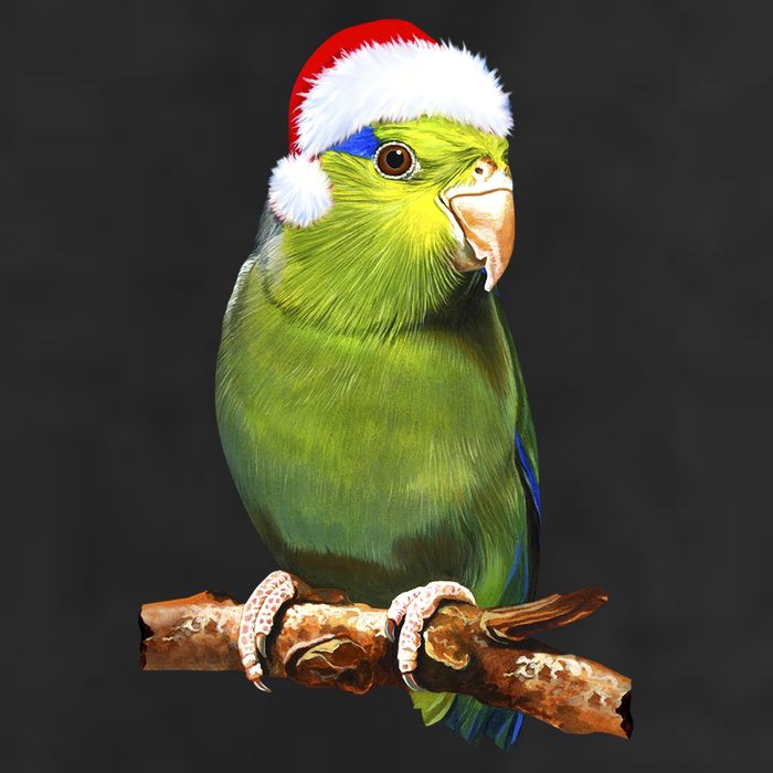 Christmas Bird Parrot Adult Drive Performance Visor