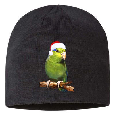 Christmas Bird Parrot Sustainable Beanie