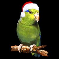 Christmas Bird Parrot 16 in Basic Backpack