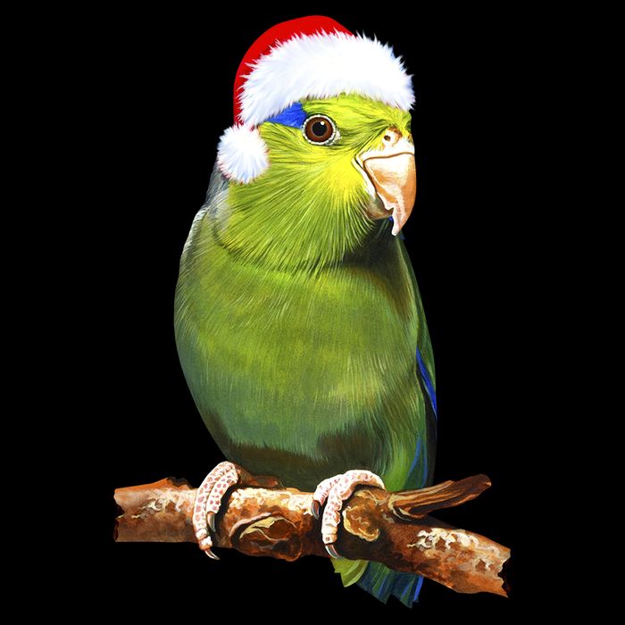 Christmas Bird Parrot 16 in Basic Backpack