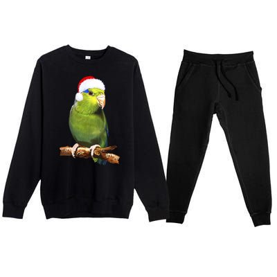 Christmas Bird Parrot Premium Crewneck Sweatsuit Set