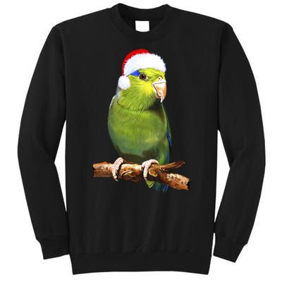 Christmas Bird Parrot Tall Sweatshirt