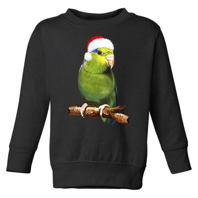 Christmas Bird Parrot Toddler Sweatshirt