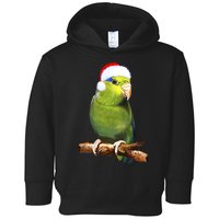 Christmas Bird Parrot Toddler Hoodie