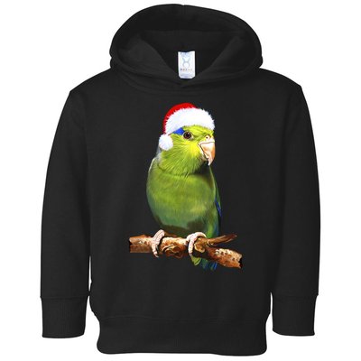 Christmas Bird Parrot Toddler Hoodie