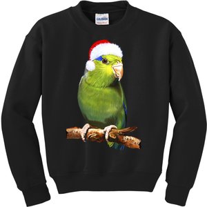 Christmas Bird Parrot Kids Sweatshirt