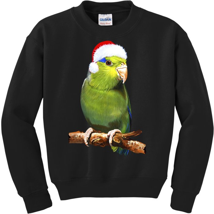 Christmas Bird Parrot Kids Sweatshirt