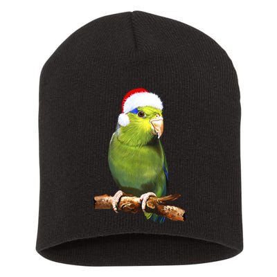 Christmas Bird Parrot Short Acrylic Beanie