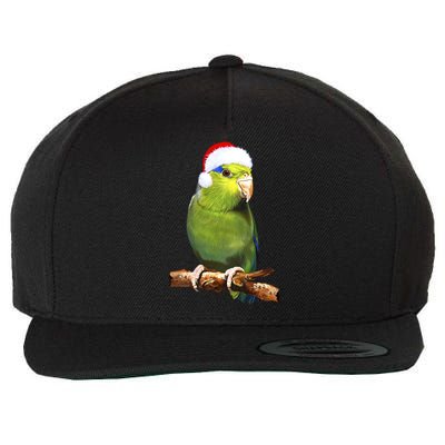 Christmas Bird Parrot Wool Snapback Cap