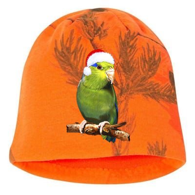 Christmas Bird Parrot Kati - Camo Knit Beanie