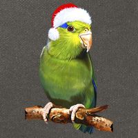 Christmas Bird Parrot Cotton Canvas Backpack